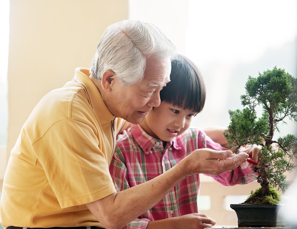 image of an older man teaching a child how to do bonsai